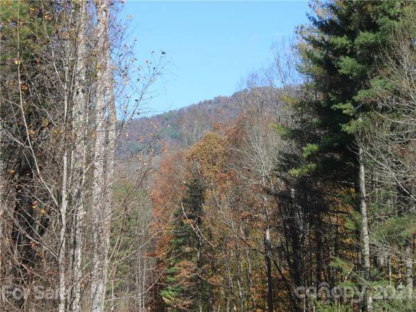 0 Carolina Keep RD #Portion 1, Green Mountain, NC 28740