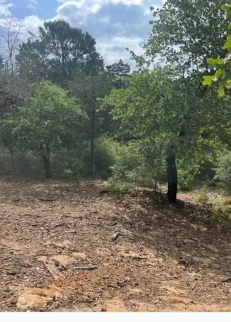 Lot 1114 KAOHIKAIPU DR, Bastrop, TX 78602