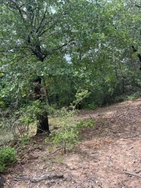 Lot 1114 KAOHIKAIPU DR, Bastrop, TX 78602