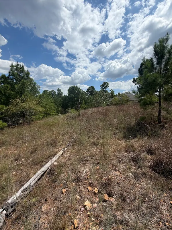 Lot 1189 Awehi LN, Bastrop, TX 78602
