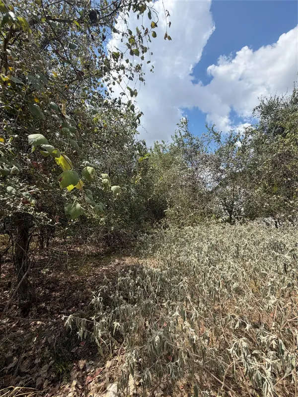 155 Waimanalo LN, Bastrop, TX 78602