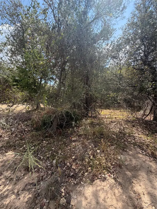 Lot 732 Waimanalo LN, Bastrop, TX 78602