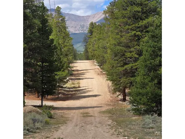 28 Juniper, Twin Lakes, CO 81251