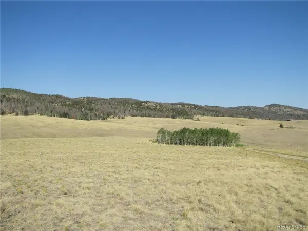 1027 Bolster, Hartsel, CO 80449