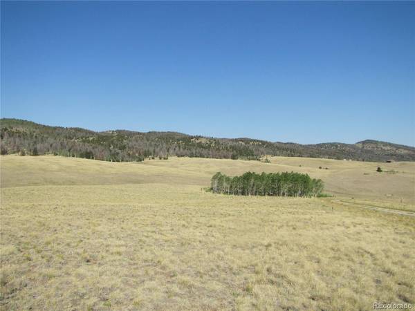 1027 Bolster, Hartsel, CO 80449