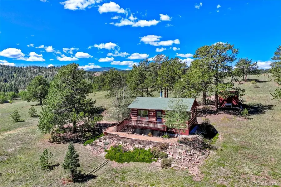 189 Saddle LN, Lake George, CO 80827