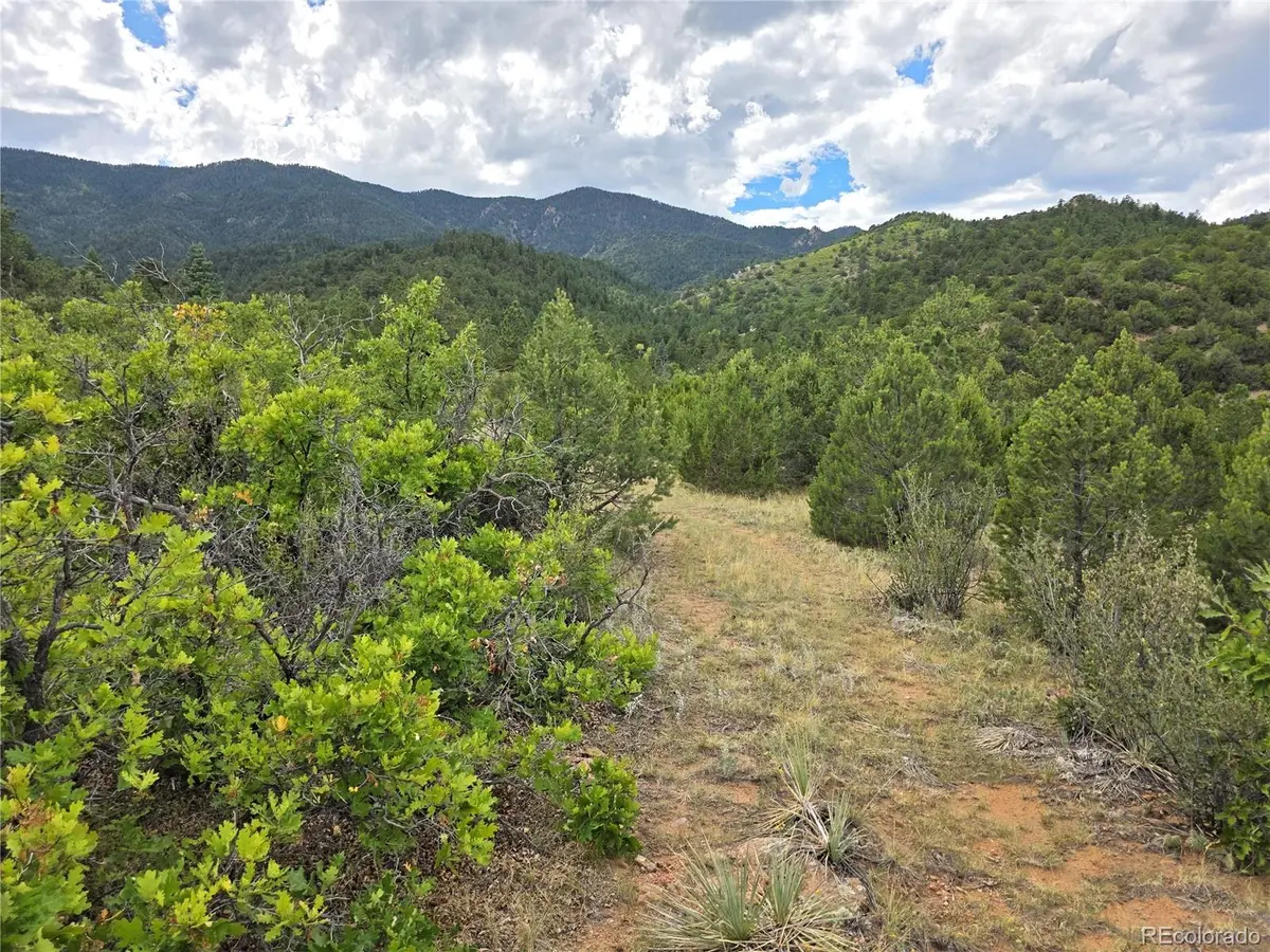 6179 County Road 84, Florence, CO 81226