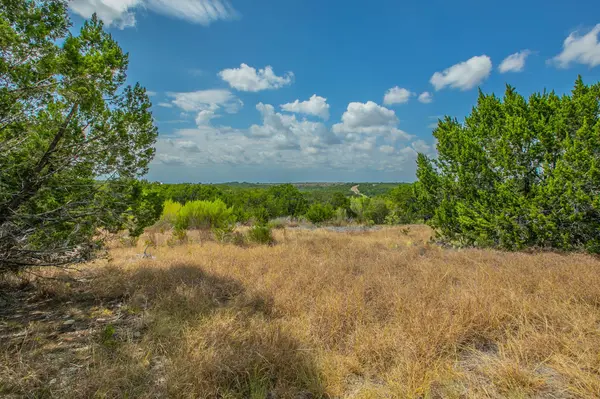 76 balcones Ridge WAY, Bertram, TX 78605