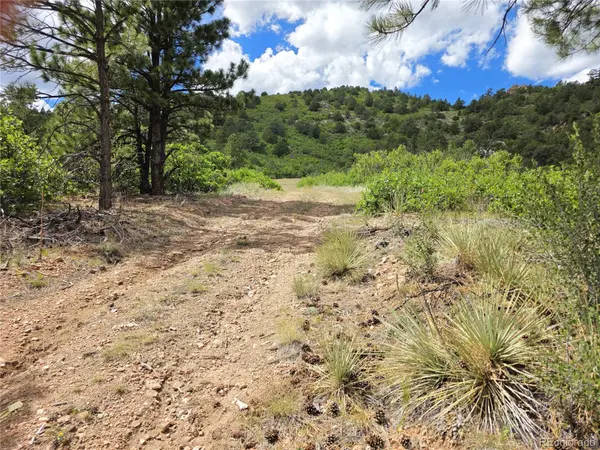 6179 County Road 84, Florence, CO 81226