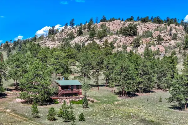 189 Saddle LN, Lake George, CO 80827
