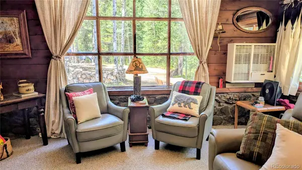 103 Forest Haven LN, Idaho Springs, CO 80452