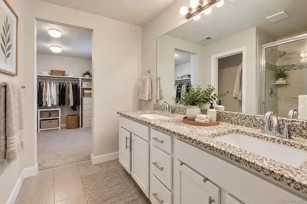 3585 Swabuck PL, Castle Rock, CO 80109