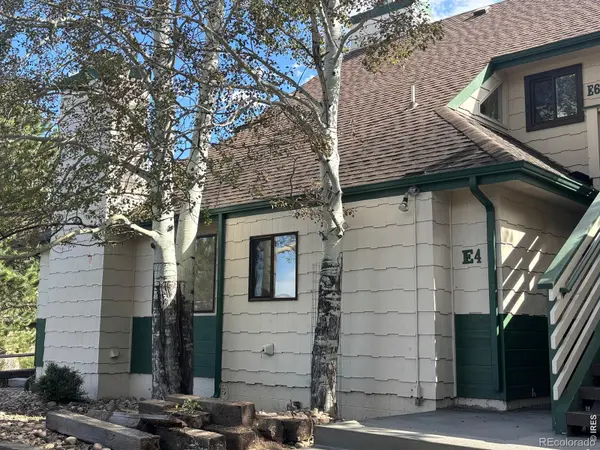 1010 S Saint Vrain AVE #4, Estes Park, CO 80517