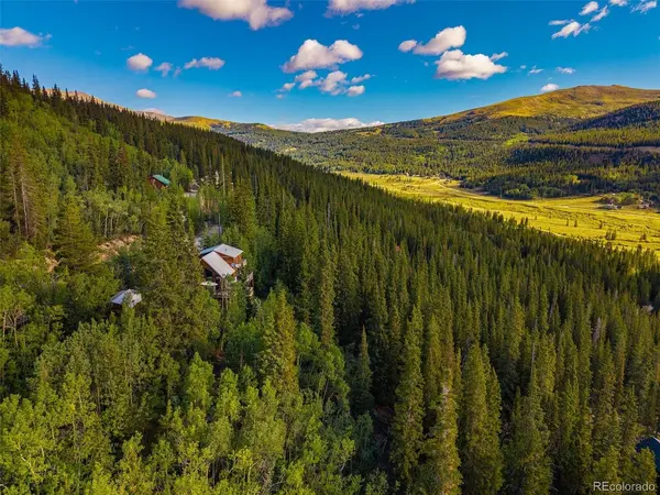 1238 Quartzville, Alma, CO 80420