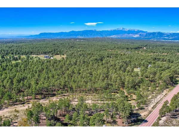 7675 Marjorie Jean, Colorado Springs, CO 80908