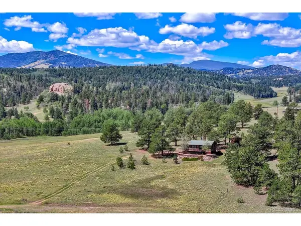 189 Saddle, Lake George, CO 80827
