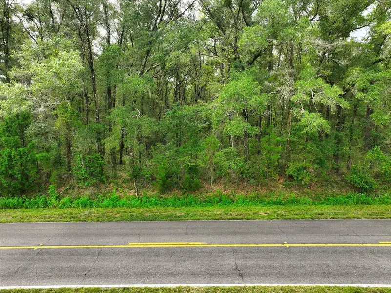 17215 NW 94TH AVE, Alachua, FL 32615