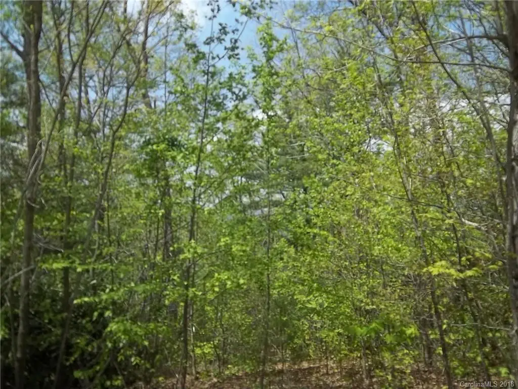 26 W Bobcat CT, Flat Rock, NC 28731