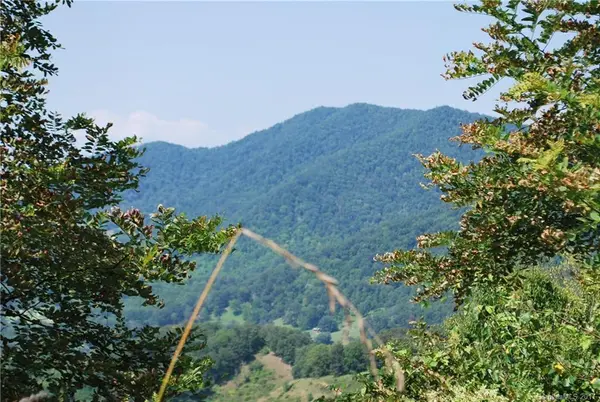 1877 Wilson Cove RD, Canton, NC 28716