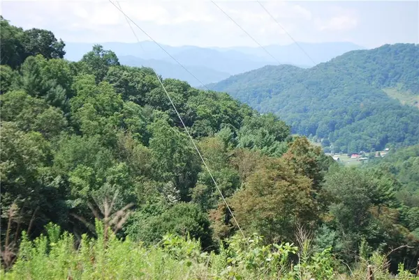 1877 Wilson Cove RD, Canton, NC 28716