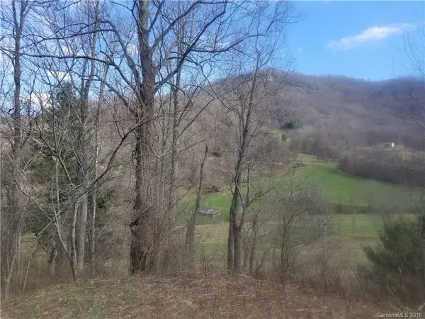 000 Blazing Star RD #3, Clyde, NC 28721