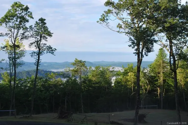 654 Dogwood Mountain RD, Penrose, NC 28766