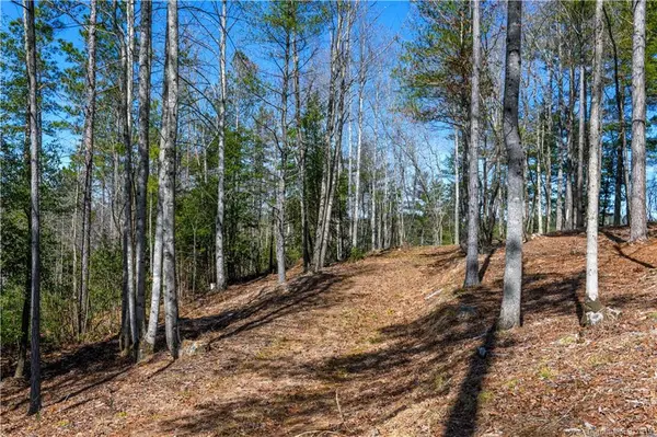 6669 McGalliard Pointe DR #3, Valdese, NC 28690