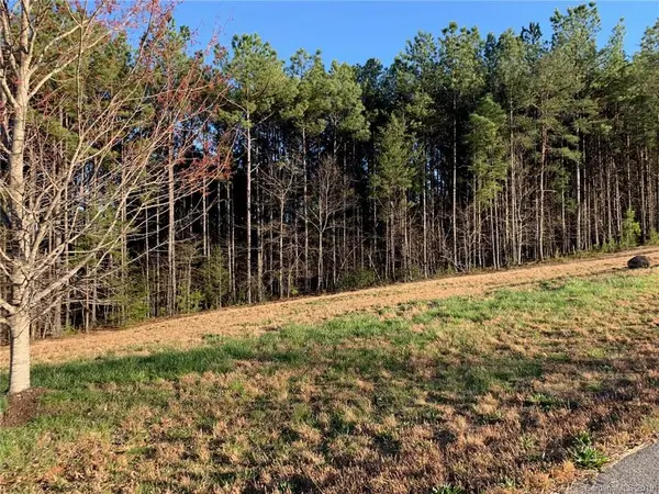 Lot 29 Palisade DR, Mill Spring, NC 28756