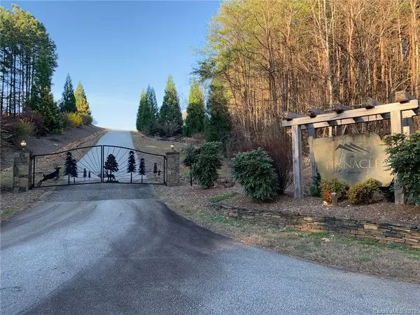 Lot 29 Palisade DR, Mill Spring, NC 28756