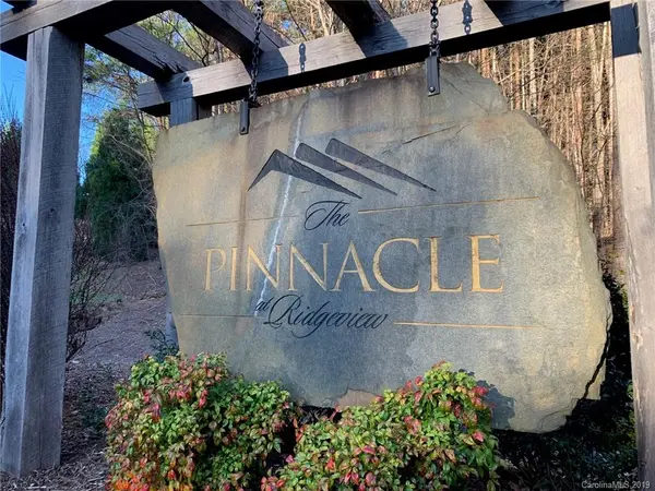 Lot 29 Palisade DR,  Mill Spring,  NC 28756