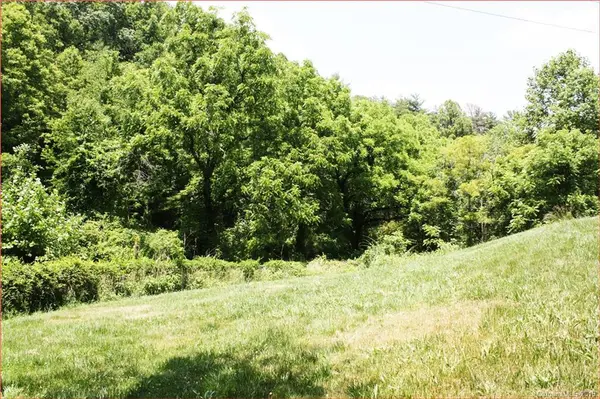 10 Clearview LN, Weaverville, NC 28787