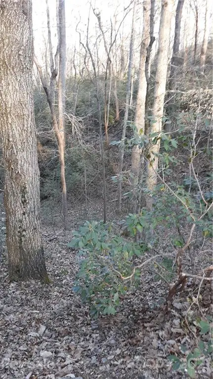 0 Winners CIR #11, Tryon, NC 28782
