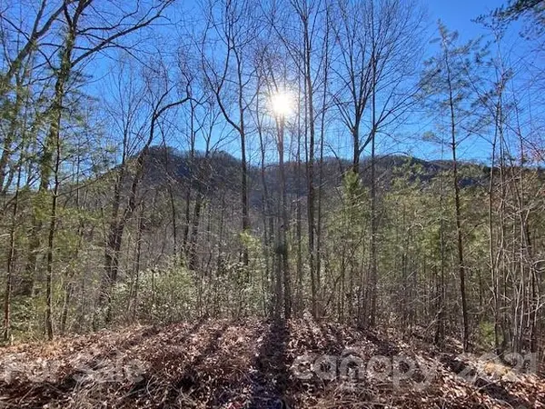 0000 Woodfen LN #6, Lake Lure, NC 28746