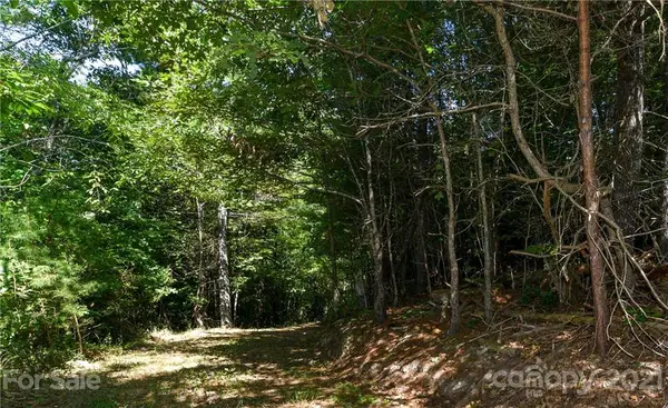 999 Windswept RDG, Marshall, NC 28753