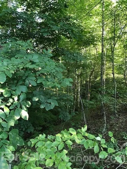 9999 Grace WAY #Lot 18 & 30, Green Mountain, NC 28740