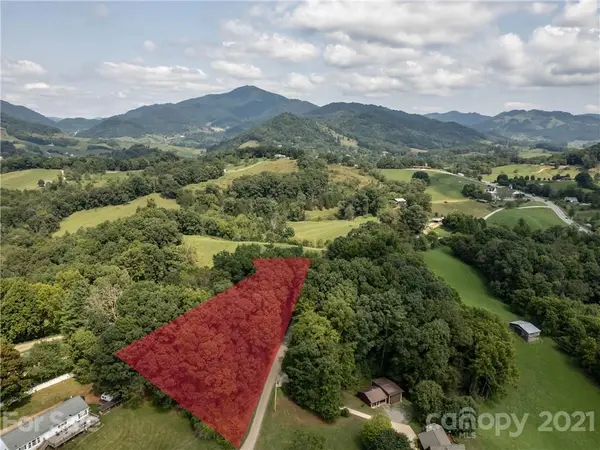 00 Blueberry Hill DR #10, Clyde, NC 28721