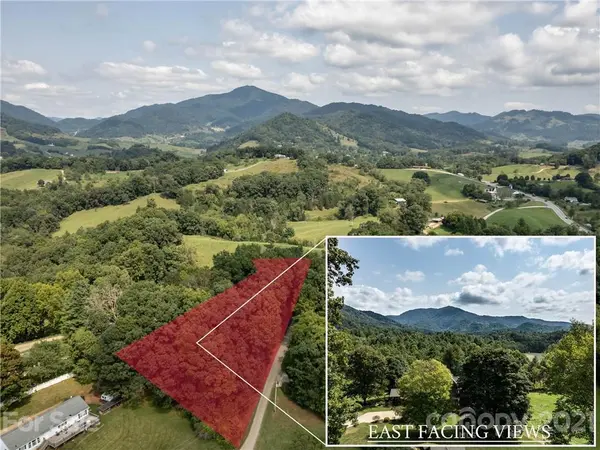 00 Blueberry Hill DR #10, Clyde, NC 28721