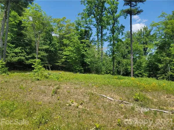 55 Crystal Cove DR, Etowah, NC 28739
