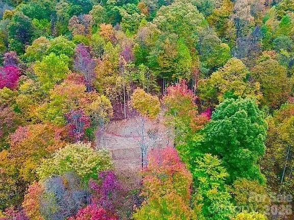 00 Falls View DR #50, Bryson City, NC 28713