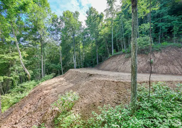 00 Falls View DR #50, Bryson City, NC 28713