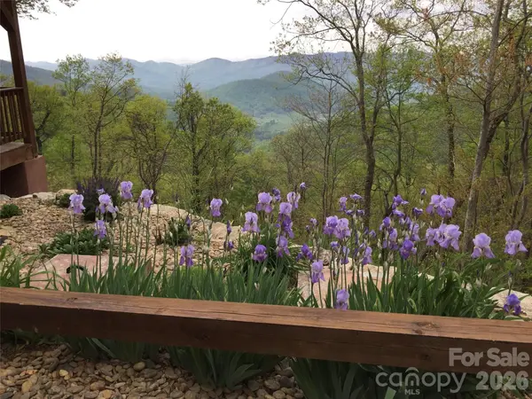 30 Wedgewood TER, Black Mountain, NC 28711