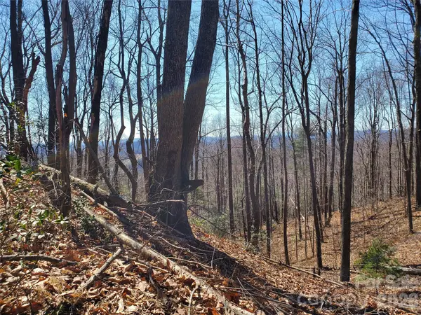 8057 Highway 16 HWY, Moravian Falls, NC 28654