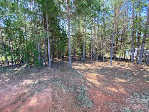 Next to 1670 Buck Oak RD, Lincolnton, NC 28092