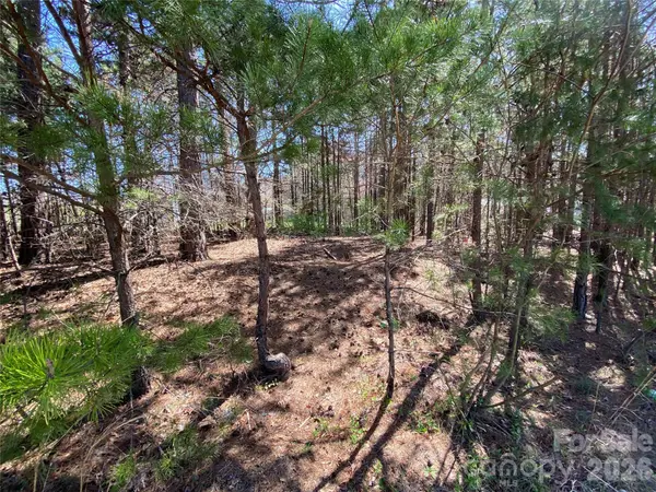 Next to 1670 Buck Oak RD, Lincolnton, NC 28092