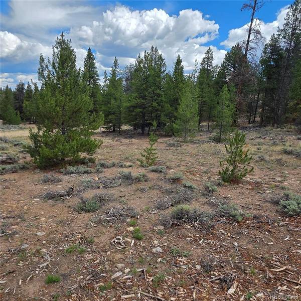 28 Juniper DR, Twin Lakes, CO 81251