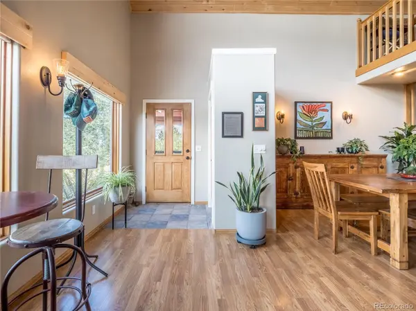 13072 County Road 261, Nathrop, CO 81236