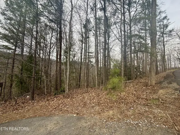 0 Thissa Way, Gatlinburg, TN 37738