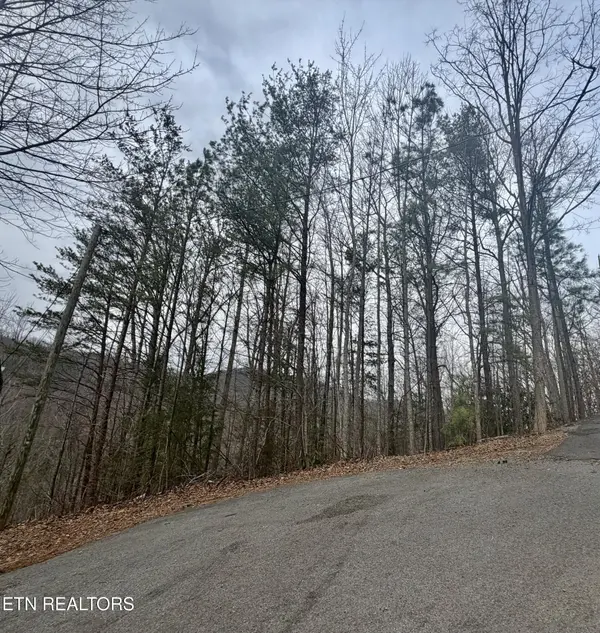 0 Thissa Way, Gatlinburg, TN 37738