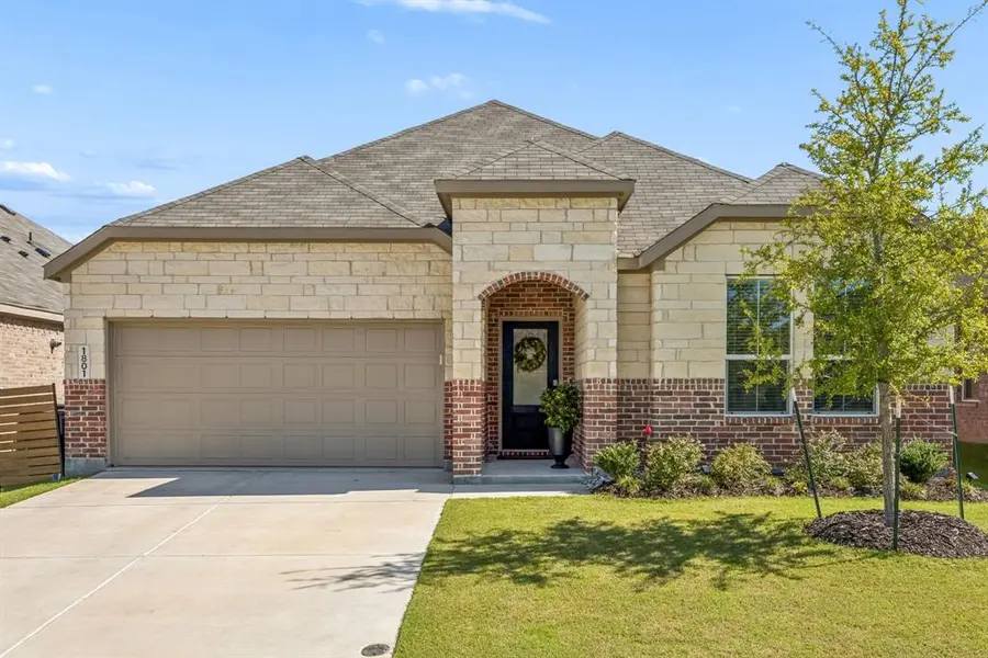 1801 Rubber Fig Lane, Mckinney, TX 75071