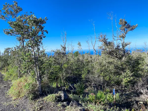 TIKI LN, Ocean View, HI 96737